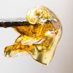 Dialing in your Cannabis Cure for Specific Uses: Rosin, Smoking, & Storage