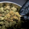 The High Cost of Human Error in the Curing Room